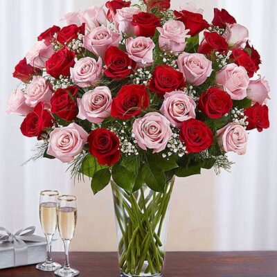 Long Stem Pink & Red Roses Las Vegas