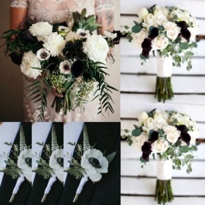 adventure wedding collection las vegas nevada