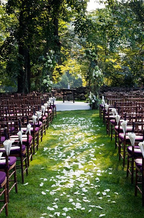 rose petals down the isle