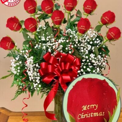 merry christmas roses