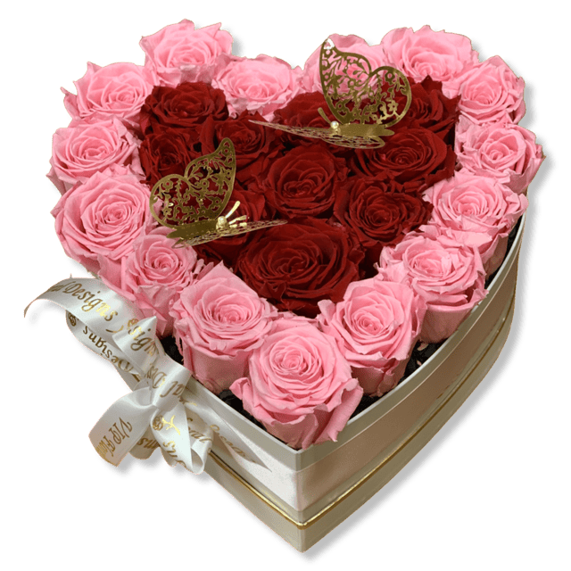 The Real Lover (preserved roses)