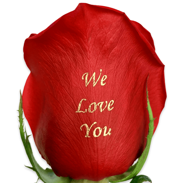 We love you roses