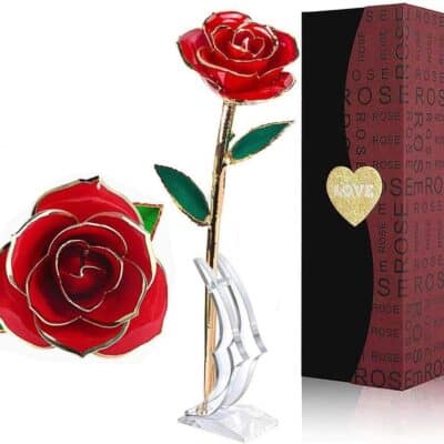 REAL ROSE DEPPED IN 24K GOLD