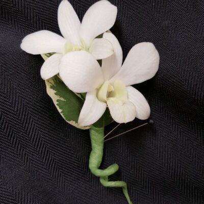 White Dendro Orchid Boutonniere