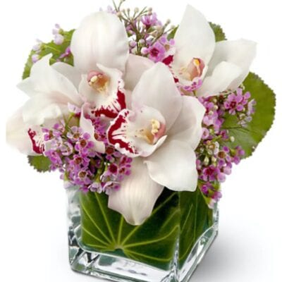 Evelyn Las Vegas flowers