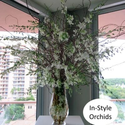 Orchids In Style Las Vegas NEVADA