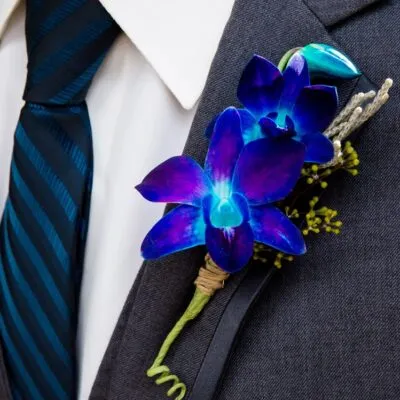 Blue Dendrobium Orchids Boutonniere