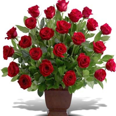 24 red roses funeral urn arrangement