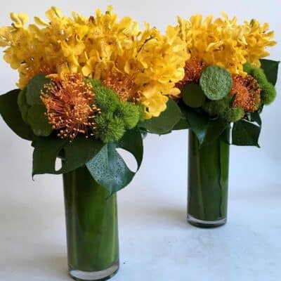 Sunny Mood Tropical