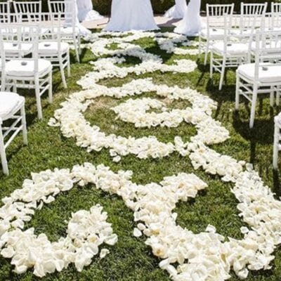 white rose petals las vegas