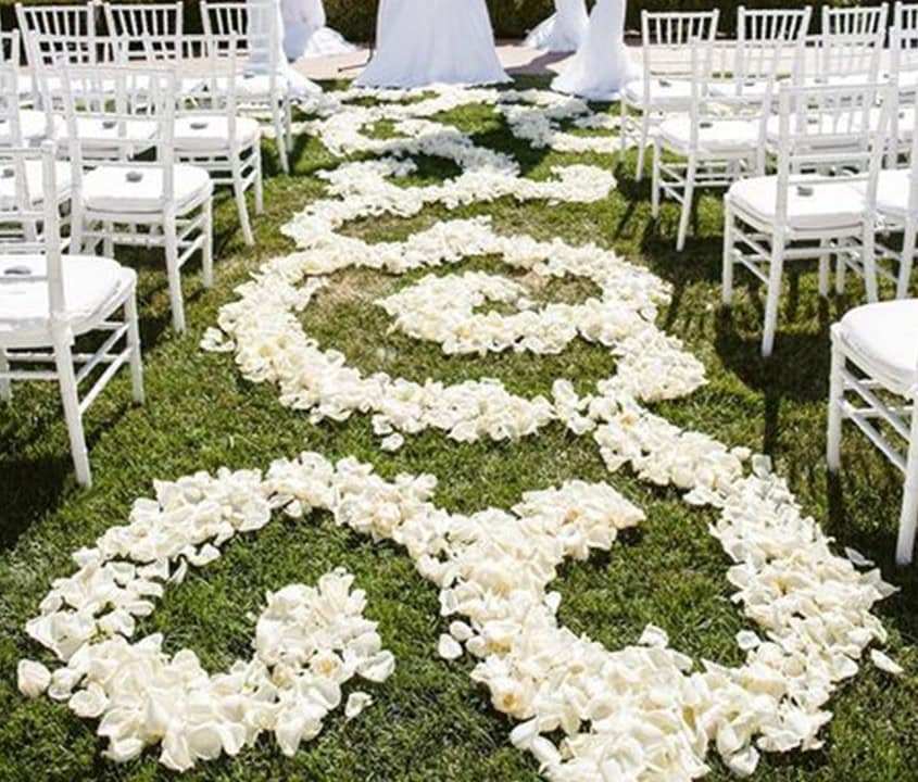 white rose petals las vegas
