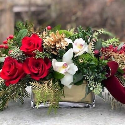ELEGANT HOLIDAY