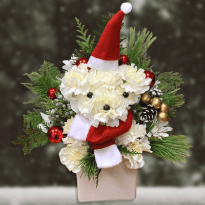 Santa Paws