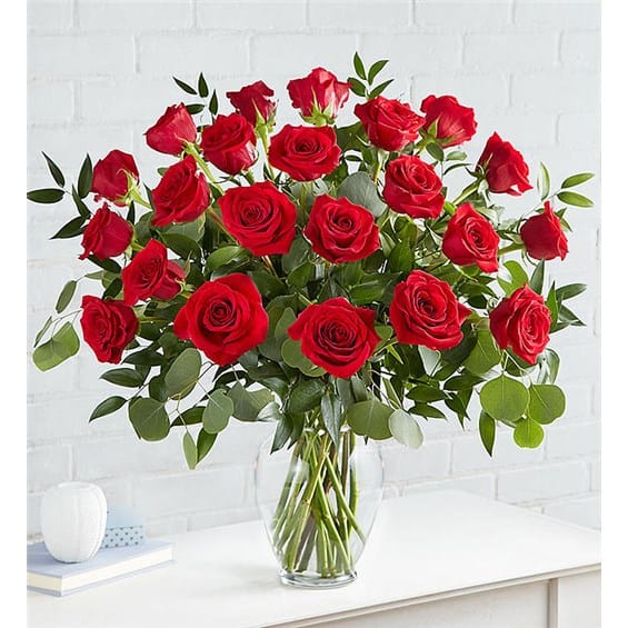 24 red roses no baby's breath