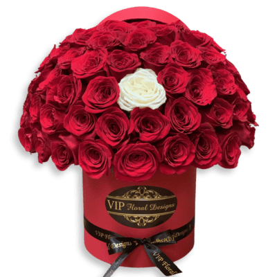 50 red roses and one white
