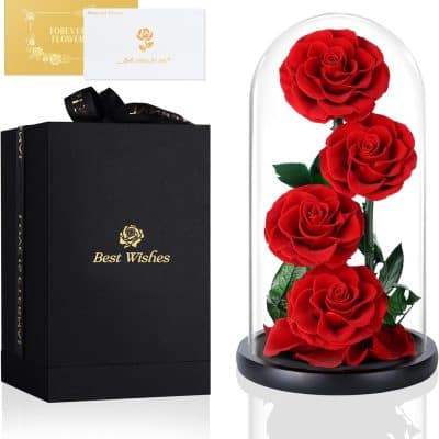 Beautiful red roses displayed under a glass dome, perfect for romantic gifts or special occasions. Crafted with fresh, vibrant blooms and presented in a stylish glass enclosure.