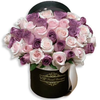 50 purple and pink roses in las vegas nevada