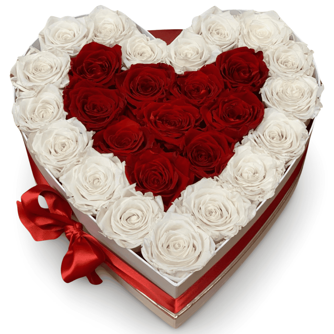 "Forever Yours" 27 Preserved Roses - Image 6