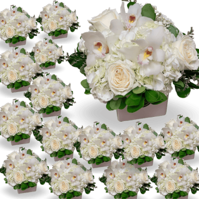 "Bellagio" White Bloom Collection - Set of 10 (or more) from $49.00 and up