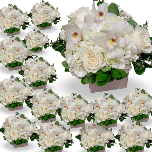 "Bellagio" White Bloom Collection - Set of 10 (or more) from $49.00 and up