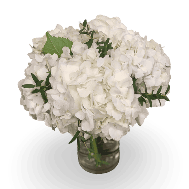 White Hydrangea Flower Centerpieces Las Vegas