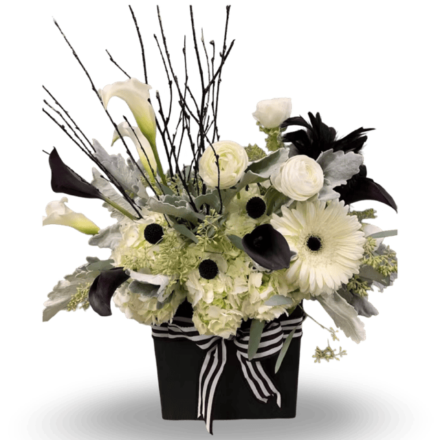 Beautiful black and white floral bouquet featuring roses, gerbera daisies, and calla lilies in a stylish black box with a striped ribbon. Perfect for sophisticated occasions.