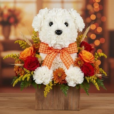 Fall Puppy Love autumn flower arrangement with carnation puppy dog, red roses, orange roses, solidago, button chrysanthemums, and plaid ribbon in wooden vase