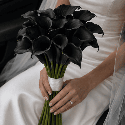 Bride holding 25 mini black calla lily bridal bouquet with white satin ribbon in Las Vegas