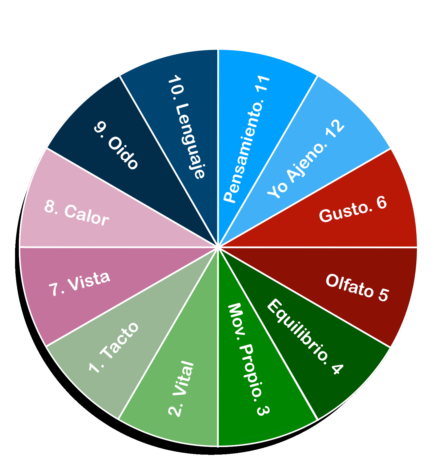 Los doce sentidos desde la perspectiva antroposófica