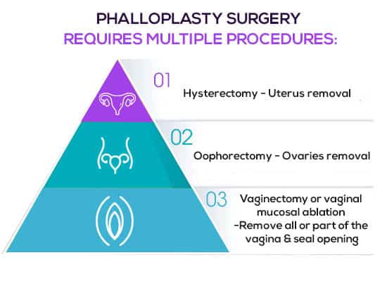 Hysterectomy and oophorectomy procedures for gender confirmation surgery at VJ Transgender Clinics.