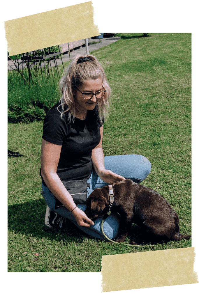 hundetraining-hundeschule-online-linz-land-weltweit-welpe-vollzeit4beiner-kerstin-quast