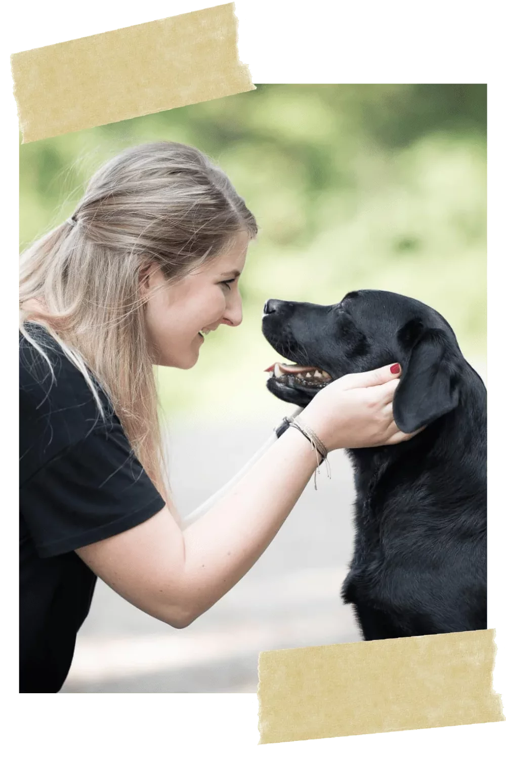 kerstin-quast-flummis-diary-hund-hunde-hundeschule-hundetrainer