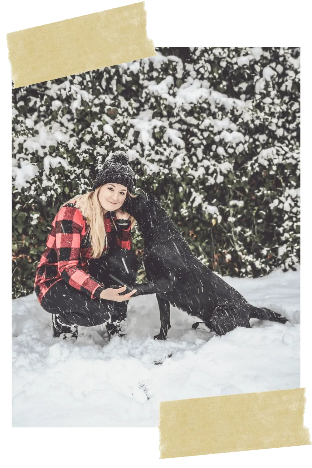 kerstin-quast-hundetrainer-hundeschule-vollzeit-job-hund