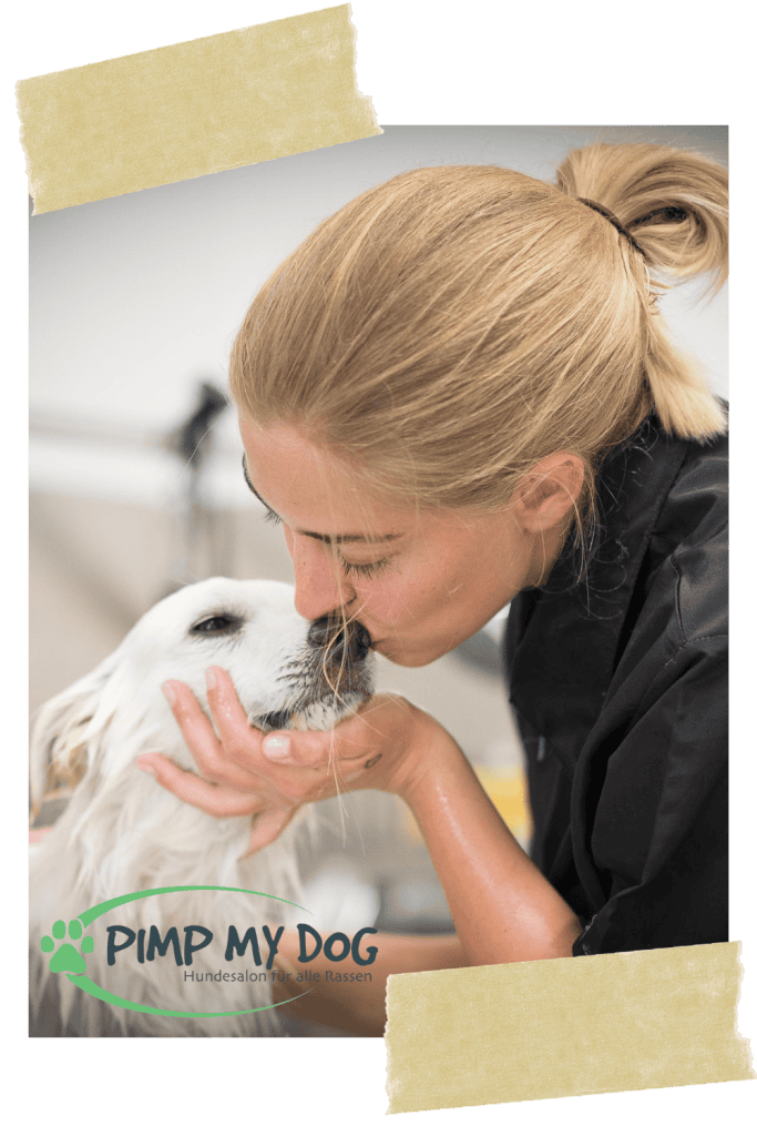 pimpmydog-enns-hundesalon-vollzeit4beiner