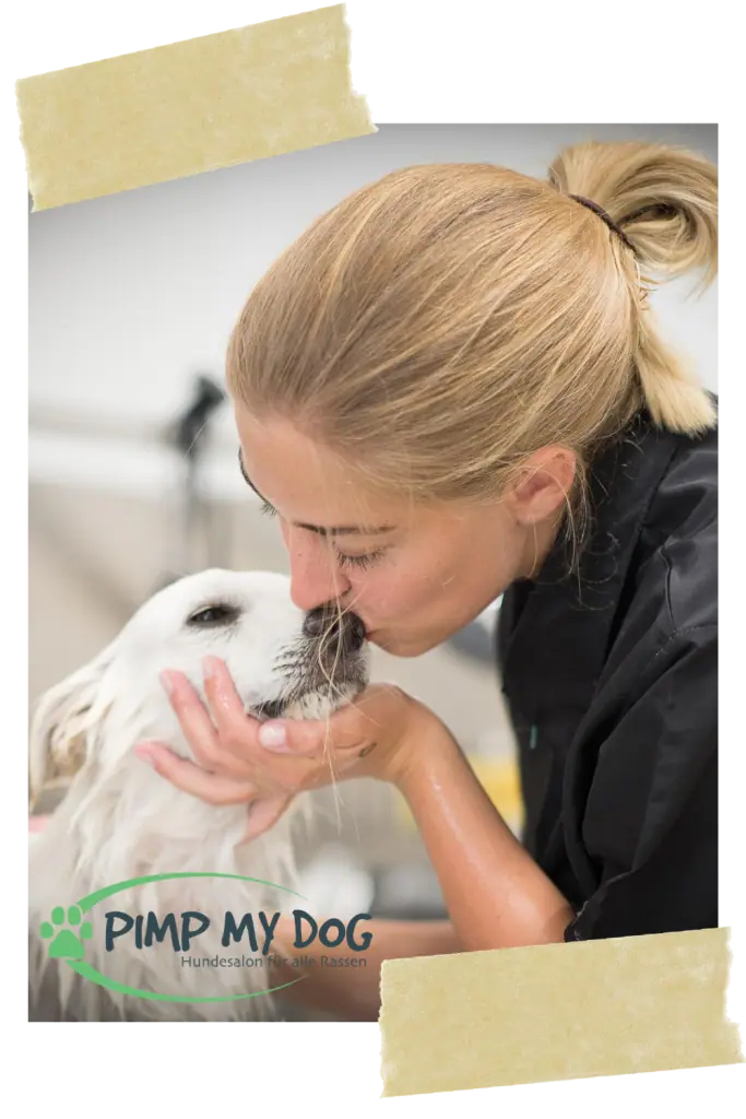 pimpmydog-enns-hundesalon-vollzeit4beiner