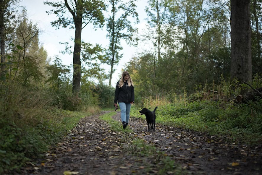 eroeffnungs-angebote-vollzeit4beiner-hundeschule-hundetrainer-kerstin-quast