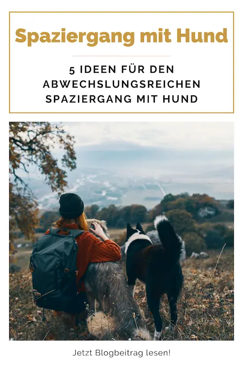 Ideen-für-den-Spaziergang-mit-Hund