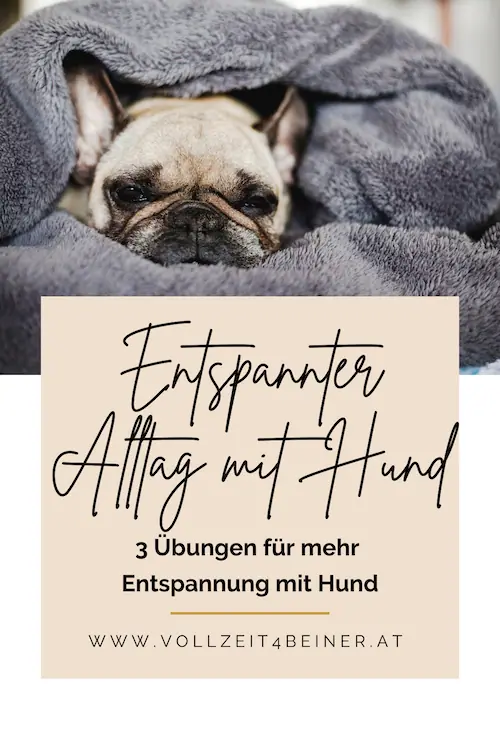 3-übungen-entspannter-alltag-mit-hund-hundetraining