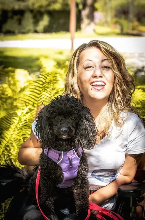 welpe-im-homeoffice-tipps-vollzeit4beiner-pfoetchentraining-laura-gentile