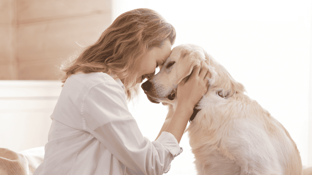 so-begrüßt-du-deinen-hund-richtig-entspannt-hundetraining