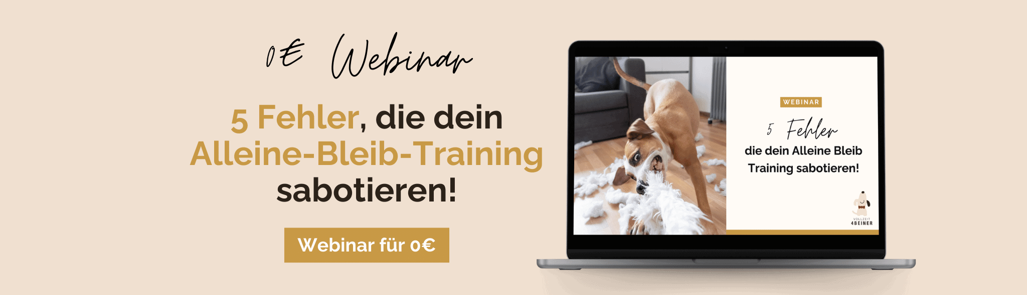 Webinar-Alleine-Bleiben-Trainieren-Hund-Trennungsstress
