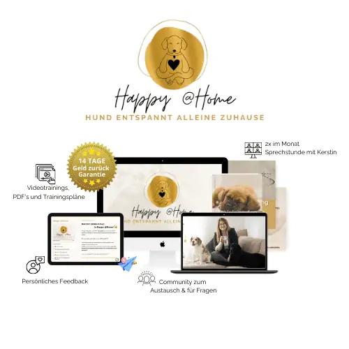hund-alleine-lassen-online-programm-trennungsstress