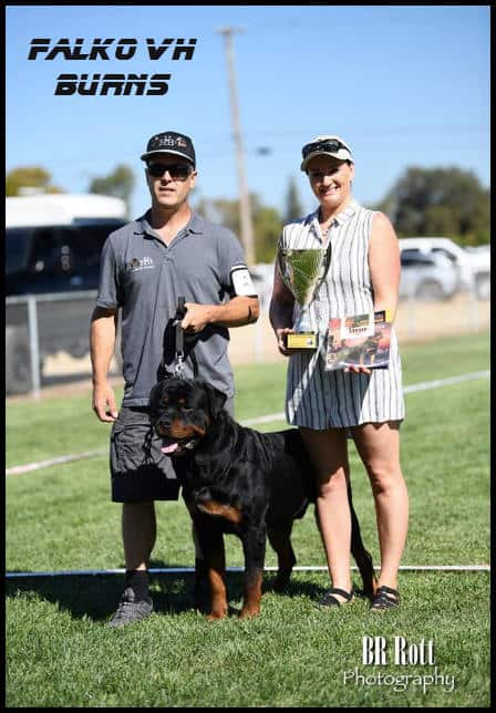 Falko vH Burns with handler and Rottweiler at outdoor dog show, showcasing champion dog breed excellence.