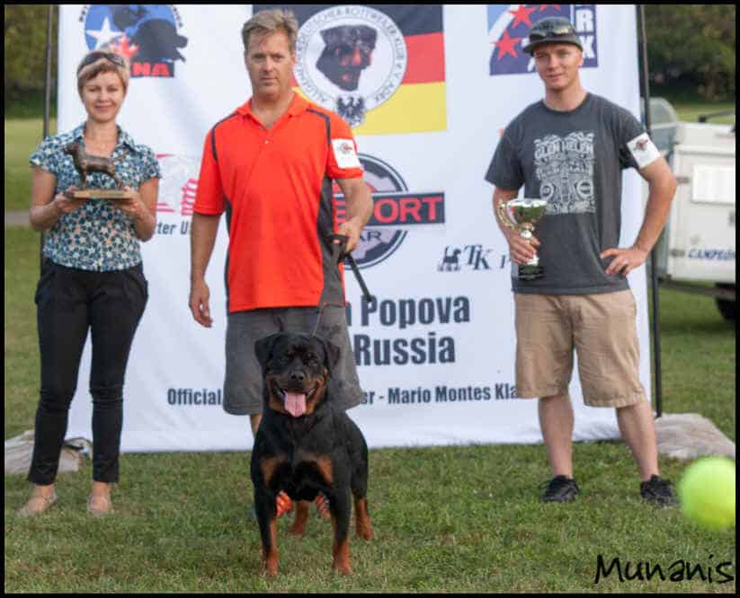 Rottweiler dog show winner with handlers, outdoor competition award ceremony at Vom Haus Burns, featuring breed standard, dog training, and obedience excellence.
