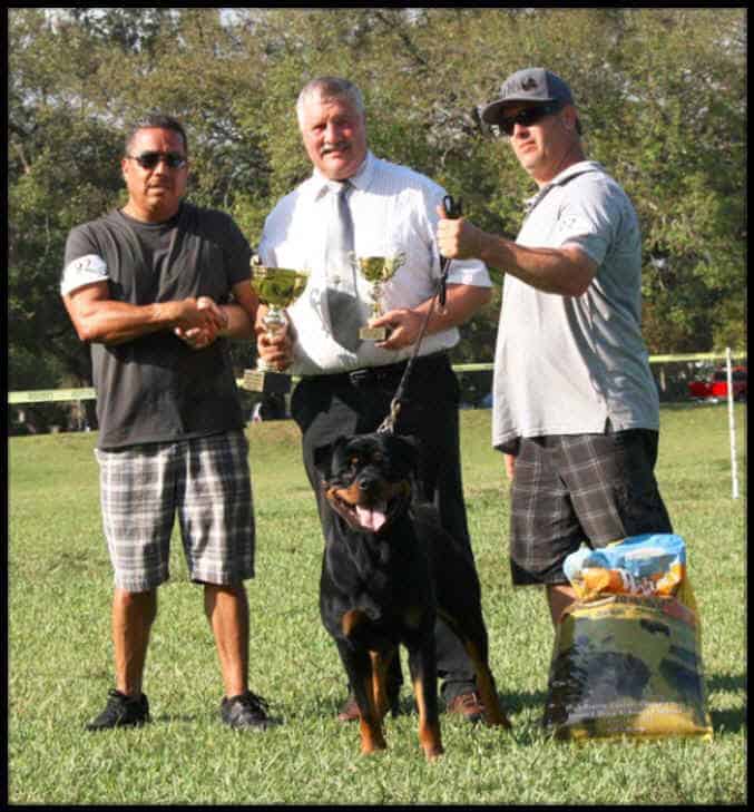 Impressive Rottweiler dog with winners, trophy, and handlers at Vom Haus Burns dog training event.