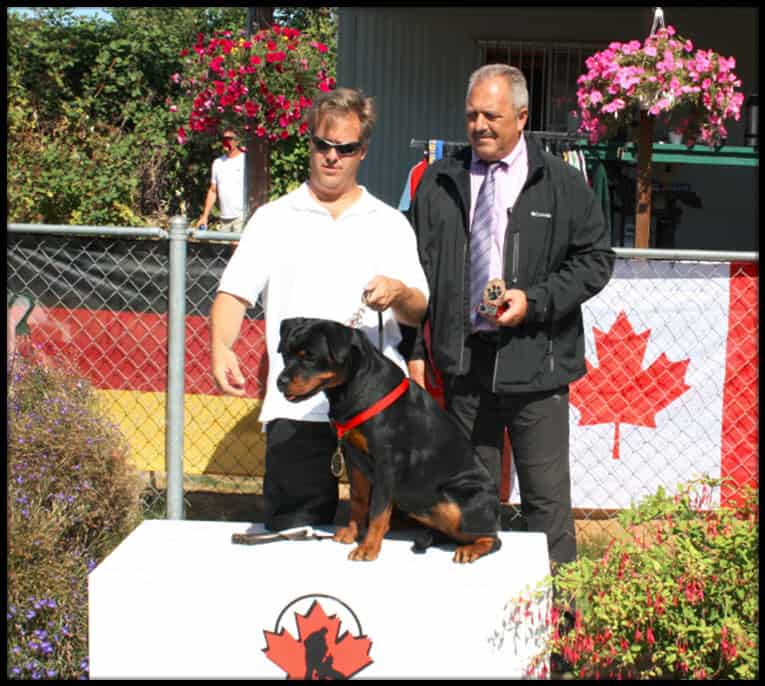Rottweiler at dog show winning award, breeder and judge with dog and Canadian flag background, outdoor setting, close-up senior owner, mother or trainer, recognition event, canine excellence, obedience, breed champion, sporting event, pet competition.