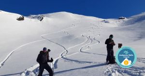 Group of skiers on snowy mountain for backcountry ski tour in Wanaka.