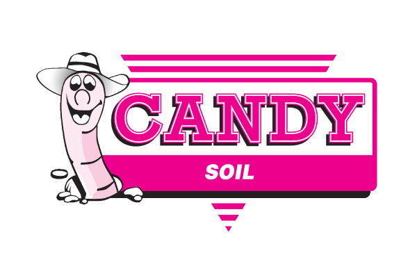 Qantas business rewards with wanless (main) 11