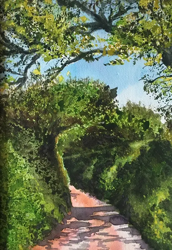 Watercolor painting of a sunny forest pathway.