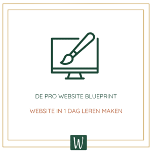 Website in 1 dag leren maken